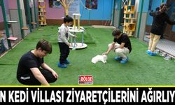 Van Kedi Villası ziyaretçilerini ağırlıyor