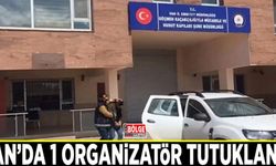 Van’da 1 organizatör tutuklandı