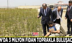 Van’da 3 milyon fidan toprakla buluşacak
