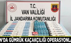 Van’da gümrük kaçakçılığı operasyonları