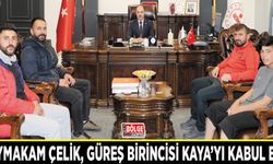 Kaymakam Çelik, güreş birincisini kabul etti