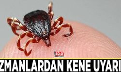 Uzmanlardan kene uyarısı