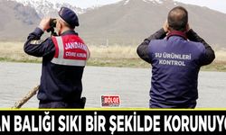 Van Balığı sıkı bir şekilde korunuyor