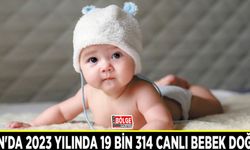 Van'da 2023 yılında 19 bin 314 canlı bebek doğdu