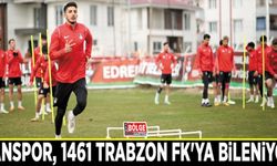 Vanspor, 1461 Trabzon FK'ya bileniyor