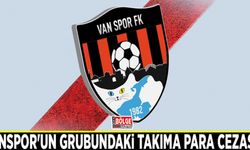 Vanspor'un grubundaki takıma para cezası…