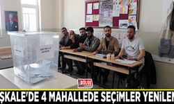 Başkale'de 4 mahallede seçimler yenilendi