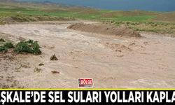 Başkale’de sel suları yolları kapladı