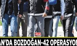 Van'da Bozdoğan-42 operasyonu