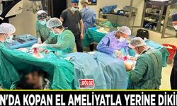 Van'da kopan el ameliyatla yerine dikildi
