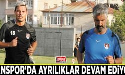 Vanspor'da ayrılıklar devam ediyor