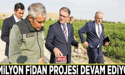 3 milyon fidan projesi devam ediyor