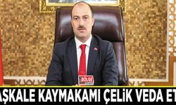 Başkale Kaymakamı Çelik veda etti