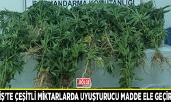 Erciş’te çeşitli miktarlarda uyuşturucu madde ele geçirildi