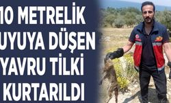 Kuyuya düşen yavru tilki kurtarıldı