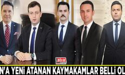Van'a yeni atanan kaymakamlar belli oldu