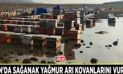Van'da sağanak yağmur arı kovanlarını vurdu