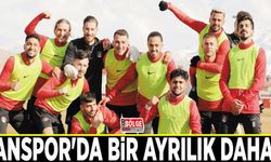 Vanspor'da bir ayrılık daha…
