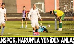 Vanspor, Harun'la yeniden anlaştı