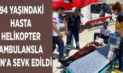 94 yaşındaki hasta helikopter ambulansla Van'a sevk edildi