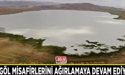Akgöl misafirlerini ağırlamaya devam ediyor