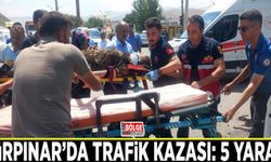 Gürpınar’da trafik kazası: 5 yaralı