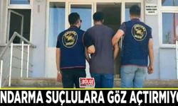 Jandarma suçlulara göz açtırmıyor