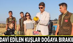 Tedavi edilen kuşlar doğaya bırakıldı