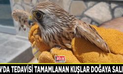 Tedavisi tamamlanan kuşlar doğaya salındı