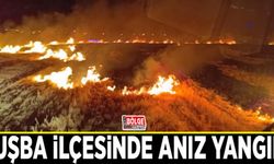 Tuşba ilçesinde anız yangını