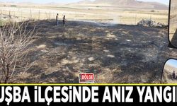 Tuşba ilçesinde anız yangını