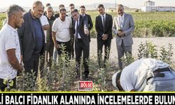 Vali Balcı fidanlık alanında incelemelerde bulundu