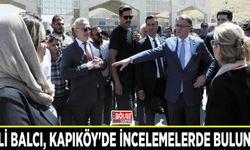 Vali Balcı, Kapıköy'de incelemelerde bulundu
