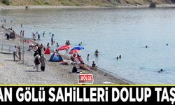 Van Gölü sahilleri dolup taştı