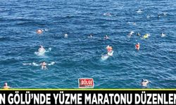 Van Gölü’nde yüzme maratonu düzenlendi