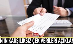 Van'ın karşılıksız çek verileri açıklandı