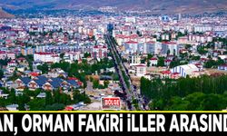 Van, orman fakiri iller arasında