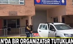 Van’da bir organizatör tutuklandı