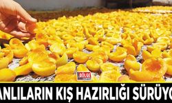 Vanlıların kış hazırlığı sürüyor