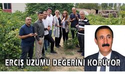 Erciş Üzümü değerini koruyor