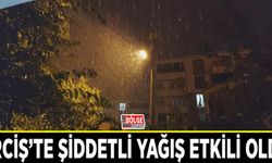 Erciş’te şiddetli yağış etkili oldu