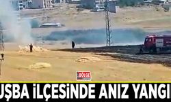 Tuşba ilçesinde anız yangını