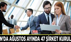 Van'da Ağustos ayında 47 şirket kuruldu