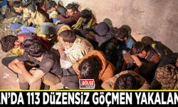 Van’da 113 düzensiz göçmen yakalandı