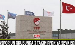 Vanspor'un grubunda 3 takım PFDK'ya sevk edildi
