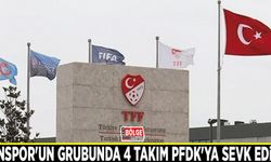 Vanspor'un grubunda 4 takım PFDK'ya sevk edildi