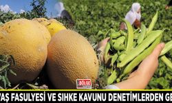 Gevaş Fasulyesi ve Sıhke Kavunu denetimlerden geçti