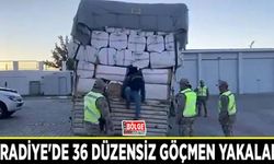 Muradiye'de 36 düzensiz göçmen yakalandı