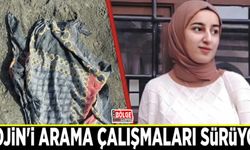 Rojin'i arama çalışmaları sürüyor