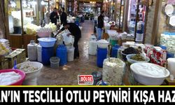 Van'ın tescilli otlu peyniri kışa hazır